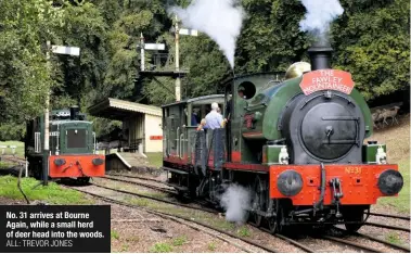  ?? ALL: TREVOR JONES ?? No. 31 arrives at Bourne Again, while a small herd of deer head into the woods.