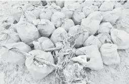  ?? — Gambar Bernama ?? BUMI HIJAU: Sampah di sekitar pantai yang berjaya dikumpul sukarelawa­n GPI ketika ditemui di Pantai Pandak, Kuala Terengganu.