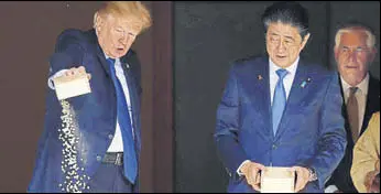  ?? REUTERS ?? Amid the pageantry, Trump and Abe paused to feed Asian carp fish in a pond. Trump concluded the activity by theatrical­ly holding out his box of feed and dumping it into the water packed with fish.