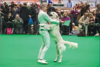  ?? OLI SCARFF / AGENCE FRANCE-PRESSE ?? A woman embraces her golden retriever dog after it was awarded a prize on the first day of the Crufts dog show in Birmingham, England, on Thursday.