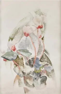  ??  ?? Charles Demuth (1883-1935), Cyclamen, 1918. Watercolor and graphite on paper, 14 x 10 in., signed and dated: ‘C. Demuth – 1918-‘. Estimate: $70/100,000