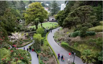  ??  ?? Above: Wellington CBD from Mt Victoria on the Southern Walkway. Below: Walkers at Wellington Botanic Garden.