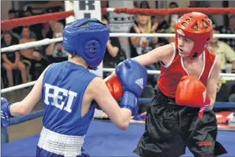 PHOTOS: Okanagan-Shuswap fighters show moxy at Vernon boxing card -  Sicamous Eagle Valley News