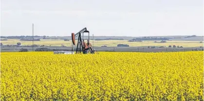  ?? REUTERS ?? Western Canadian canola fields surround an oil pump in rural Alberta in July, 2019.
