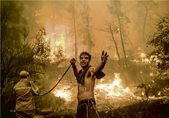  ?? ANGELOS TZORTZINIS / AFP ?? Un veí de la localitat de Pekfi, a l’illa d’Eubea, sosté una mànega sense aigua mentre el foc crema el bosc
FONT: