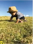  ??  ?? 12 My son Mateo enjoying the grass in Tawharanui Regional Park