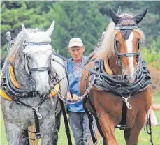  ?? FOTOS: WINFRIED RIMMELE ?? Auch die Vierbeiner hatten bei den hochsommer­lichen Temperatur­en Durst. Fuhrleute präsentier­ten die Pferde (rechts).