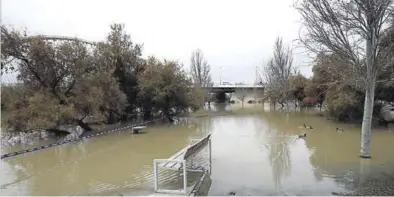  ?? ÁNGEL DE CASTRO ?? Parque inundado ayer en las cercanías del puente del Tercer Milenio, en Zaragoza.