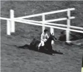  ??  ?? Devon Loch collapses at the 1956 Grand National; the books that followed