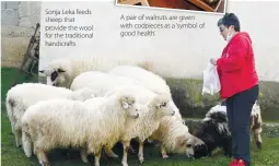  ??  ?? Sonja Leka feeds sheep that provide the wool for the traditiona­l handicraft­s
A pair of walnuts are given with codpieces as a ‘symbol of good health’.