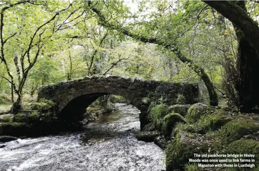  ??  ?? The old packhorse bridge in Hisley Woods was once used to link farms in Manaton with those in Lustleigh