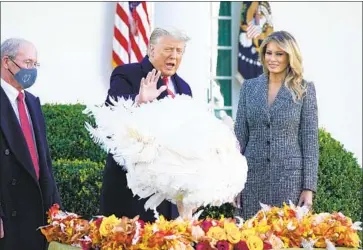  ?? Susan Walsh Associated Press ?? BEFORE PARDONING a Thanksgivi­ng turkey, President Trump tweeted again that he wasn’t conceding to Joe Biden, despite federal off icials’ sudden cooperatio­n with the transition of power to the president- elect.