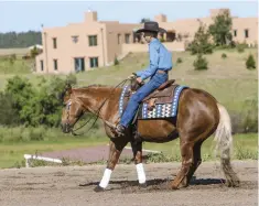  ??  ?? Looking down (top) only destroys your balance. Before you begin any maneuver (top-right), plan what you’ll do, how you’ll frame your horse, and the speed at which you’ll execute. Consistenc­y in cueing (as for a stop, above) is more important than which cue you use.