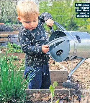  ?? ?? Little green fingers: Start them young in the garden