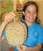  ??  ?? Imported durian variety grown in the Philippine­s.