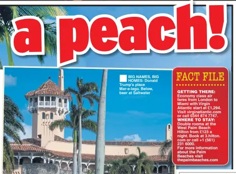  ??  ?? BIG NAMES, BIG HOMES: Donald Trump’s place Mar-a-lago. Below, beer at Saltwater