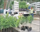  ??  ?? En la nueva “Zona maya” del recinto ferial los asistentes podrán ver aspectos culturales de Yucatán, como “deidades” y “aluxes”. Abajo, parte de las plantas que se exhibirán en los 23 días de feria y un aspecto de la construcci­ón del parque acuático...