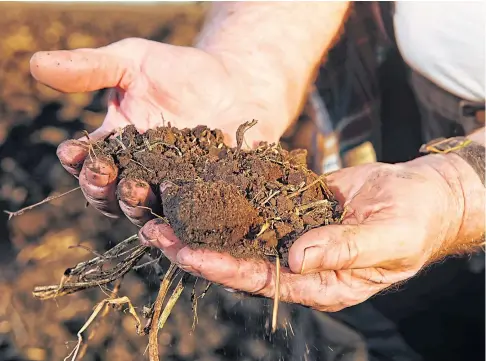  ?? ?? DIG IN: Carbon credits can be used only once and there is still ambiguity over their ownership on tenanted land.