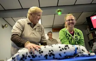  ?? Julia Rendleman/Post-Gazette ?? Donna Duncan, a training officer with the Allegheny County Department of Emergency Services, shows Angelina Boggs, 11, of Collier, how to give CPR to an injured dog at the Kirwan Heights Fire Station in 2013. A Pet First Aid Certificat­ion class will be held next month at the Bridgevill­e Public Library.