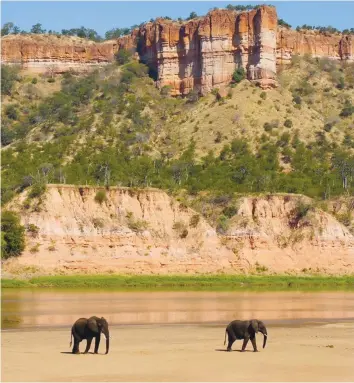  ??  ?? Elephants are a prominent attraction in Gonarezhou National Park