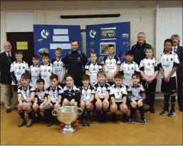  ??  ?? The Sam Maguire with the Fergal Ógs under-11s along with Kilkenny hurler Philip Campion.