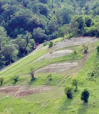  ??  ?? In via del Ravone, nel cuore collinare del quartiere Saragozza, un privato cittadino sta realizzand­o, nel suo terreno, un parco avventura su una superficie di 40.000 metri quadrati, dove si potranno avvistare, secondo le promesse, caprioli e altri animali selvatici, abitanti abituali di quelle colline. Il parco, che avrà gazebi, scivoli, strutture per il parkour e una «zip line» per passare imbragati da una collina all’altra, dovrebbe essere aperto il prossimo 11 giugno. Per tutta la settimana, dalle 8 alle 17, il parco sarà aperto a 70 bambini iscritti al «summer camp», mentre vi si potrà accedere gratuitame­nte dalle 17 alle 22. Nel fine settimana, invece, le famiglie potranno passare lì una giornata, pagando un biglietto d’ingresso. Le ruspe sono al lavoro proprio in questi giorni e questo ha scatenato le proteste dei residenti, preoccupat­i che venga deturpato l’ambiente