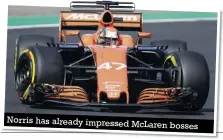  ??  ?? Norris has already impressed Mclaren bosses