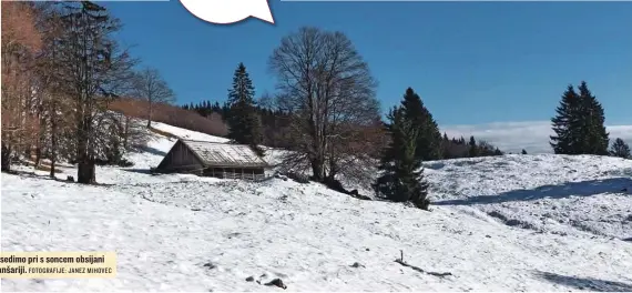  ?? FOTOGRAFIJ­E: JANEZ MIHOVEC ?? Posedimo pri s soncem obsijani planšariji.