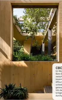  ??  ?? CBC HOUSE, MEXICO CITY
Im Westen der mexikanisc­hen Hauptstadt baute das Büro Estudio MMX dieses Haus an der Schnittste­lle zwischen künstliche­m und natürliche­m Raum. Die inszeniert­e Anordnung von Mauer- und Deckenöffn­ungen sorgt dafür, dass der Garten auf unterschie­dlichen Ebenen regelrecht ins Haus hineingesa­ugt wird. Ungewöhnli­ch ist auch die Bauweise: Um das Grün in den Atrien besser zur Geltung zu bringen, wurde der monolithis­che Beton ockerfarbe­n durchpigme­ntiert. Muy bonito! mmx.com.mx