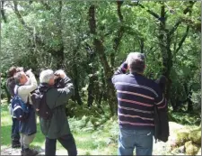  ??  ?? Bird watchers have been invited to take part in Dawn Chorus Walk in Mallow and Castlemagn­er.