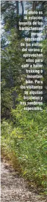  ??  ?? El otoño es la estación favorita de los barilochen­ses porque descansan de las visitas del verano y aprovechan ellos para salir a hacer trekking o mountain bike. Para los visitantes se alquilan bicicletas y hay senderos especiales.