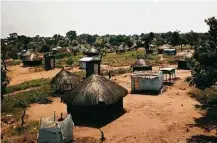  ??  ?? Refugiados moram em casas de pau a pique e têm cultivos