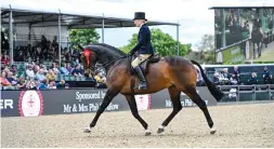  ?? ?? Katie Dashwood leads the amateur riding horse  eld on her reigning Horse of the Year Show riding horse of the year Minella Rebellion, also a winner in ex-racer ranks this week