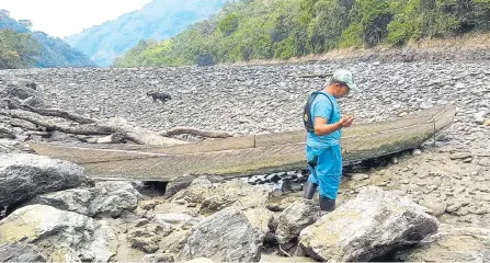  ?? GUILLERMO OSSA-JAIRVER NIETO/ ARC ?? Por el cierre de la compuerta número uno de Hidroituan­go en marzo, los niveles del Cauca bajaron y murieron cientos de peces.