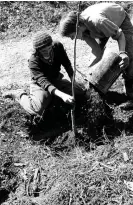  ?? Photograph: Ruth Mountaingr­ove Photograph­s Collection/ University of Oregon ?? Two people plant fruit trees at Rootworks, a lesbian commune formed in Oregon in the 1970s.