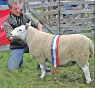  ??  ?? Iain Mackay with his sheep, which was crowned the supreme champion. 16_t33SalenSh­ow16