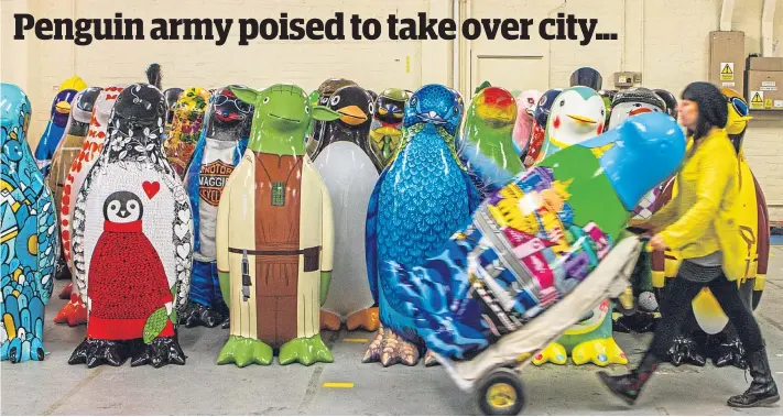  ?? Picture: Steve Macdougall. ?? Our colourful feathered friends who will make up Maggie’s Penguin Parade are assembled ready to hit the streets of Dundee later this week.
