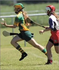  ??  ?? Katie Murphy racing down the wing for Rathgarogu­e-Cushinstow­n.