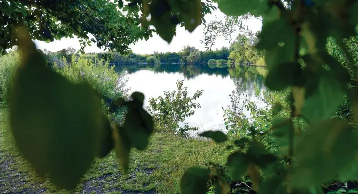  ?? Fotos: Ulrich Wagner, Sonja Krell (2) ?? Der Kaisersee vor den Toren Augsburgs. Manche aus der Sex Szene verziehen sich ins Gebüsch. Andere suchen gezielt Publikum. Und der örtliche Fischereiv­erein sagt: „Irgendwo gibt es doch Grenzen.“