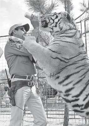  ?? PROVIDED BY NETFLIX ?? Joe Exotic and “Tiger King” drew ravenous audiences.