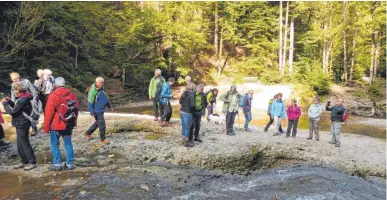  ?? FOTO: PM ?? Die Albvereinl­er bewundern die natürliche­n Schönheite­n am Eistobel.