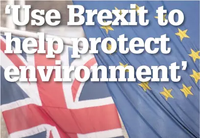  ??  ?? Cheshire Wildlife Trust is calling on the Government to restore and enhance the environmen­t as part of its plans for leaving the European Union