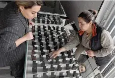  ?? — AFP photos ?? A woman examines gold jewelry in a gold store in Navoiy, some 500km from Tashkent.