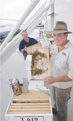  ?? Picture: ANNA ROGERS ?? SWEET DEAL: Chief engineer Mark Ansell and Honey Providore head beekeeper Graham Thornton with the beehives and hydroponic herb gardens on the casino rooftop.