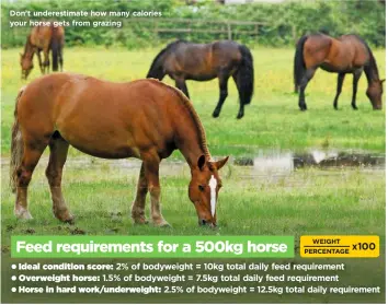  ??  ?? Don’t underestim­ate how many calories your horse gets from grazing