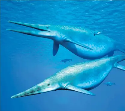  ?? NOBUMICHI TAMURA ?? Esta imagen muestra cómo sería el shonisauro. El espécimen, cuya mandíbula fue encontrada en Inglaterra habría tenido una longitud de entre 20 y 26 metros, muy similar a una ballena azul.