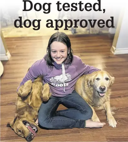  ?? CONTRIBUTE­D ?? Emily Stonehouse with her two golden retrievers, one-year-old Harlee, left, who Emily's mother calls the "typical golden goof," and Bella, the older "nanny" dog. The pooches enjoy the many tasty treats Emily makes for them.