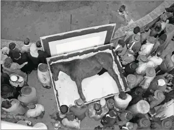  ?? SAMES/LIVINGSTON COLLECTION ?? A steady stream of mourners pay their respects during Man o’ War’s funeral in 1947.