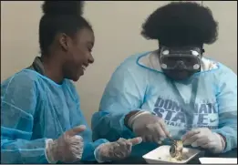  ??  ?? Girl power: Above, El Dorado High School students Hannah Lolley and Kelsey Coke, and at left, Mikayla Hill and Keithejana King, dissect cow eyes at the STEM Girls’ Leadership Conference held at the University of Arkansas at Pine Bluff.The event...