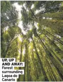  ?? ?? UP, UP AND AWAY: Forest surroundin­g Lagoa do Canario